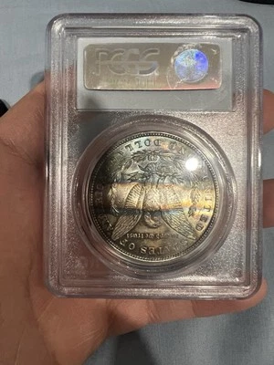 Dólar de plata Morgan 1886 P graduación profesional MS63 línea superior 100 VAM-1A en tóner de cinta de 6 pestañas Foto 1 de 4