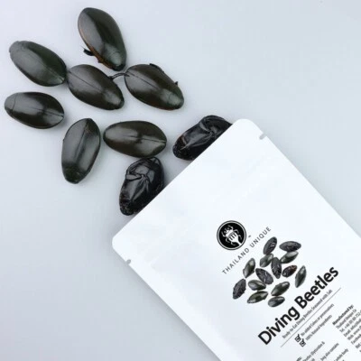 Thailand Unique Edible Diving Beetles 15G