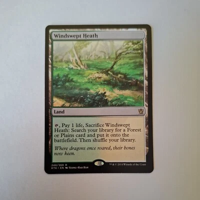 Windswept Heath MtG Magic The Gathering Singles Khans of Tarkir Rare Land G/W - Image 1 of 4