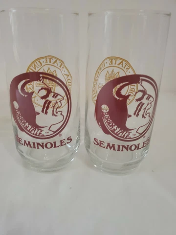 Florida State FSU Seminoles College Football logo Glasses Tumbler Set of 2 Cover