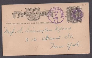 **Cubierta de papelería postal del siglo XIX de Estados Unidos, Saratoga Springs, NY XF CDS + FC púrpura - Imagen 1 de 2