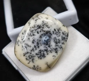 44 Ct Natural Dendrite Opal Cushion Cabochon Polished Smooth Flat Back Gemstone - Picture 1 of 5