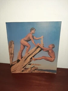Bob & Rod Paperback by Tom Bianchi Male Photography - Imagen 1 de 4