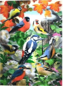 Amazing 3D Birds Large Placemats Set - 4 Pieces - Picture 1 of 1