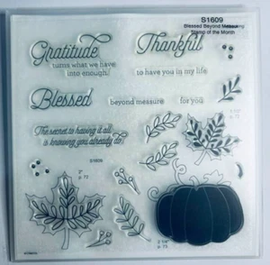 CTMH Acrylic Stamp Set_S1609_Blessed Beyond Measure_Brand New - Picture 1 of 2