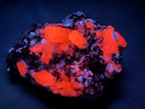 KB: FANTASTIC!! SW FL RED CALCITE XLS. W/ FLUORAPATITE FROM HUANZALA MINE, PERU - Picture 1 of 19