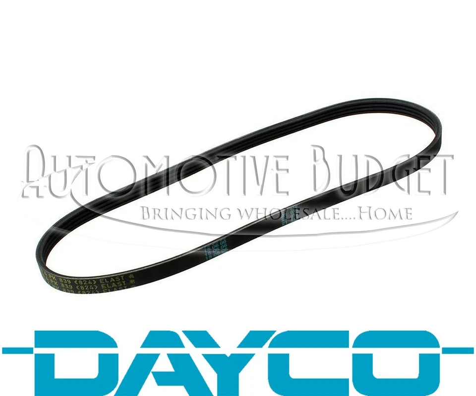 Correa compresora de aire acondicionado para BMW 545i 550i 645Ci 650i 745Li 745i 750Li 750i Alpina B7 Foto 1 de 1