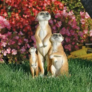 MEERKAT FAMILY - Bild 1 von 1
