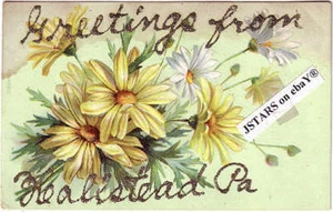 c. 1907 HALLSTEAD, PA, DAISY GLITTER GREETINGS POSTCARD - Picture 1 of 1