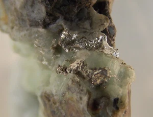NATIVE SILVER CRYSTALS - 2.2 cm - LA ENCANTADA MINE, MEXICO 27816 - Picture 1 of 7