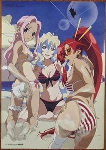 Double Sided Anime Swimsuit Poster: Gurren Lagann, Shakugan no Shana - Picture 1 of 2