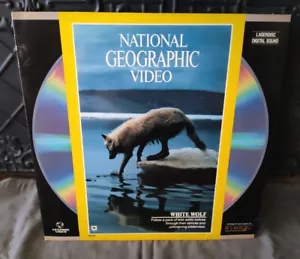 National Geographic Video - White Wolf behavior - Jim Brandenburg - Laserdisc - Foto 1 di 7