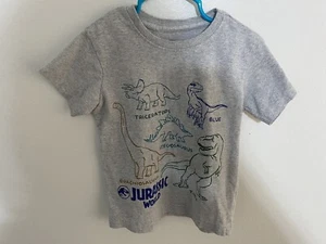 Jurassic World Gray Dinosaur Names T-shirt Size 4T T-Rex Blue Triceratops - Picture 1 of 3