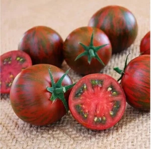 Watermelon Cherry Tomato  20+ Seeds / Heirloom (Exotic & Rare Tomato Seeds) - Picture 1 of 6