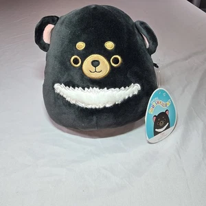 Squishmallow Tajo der Schwarzbär Tasmanien 7-8 Zoll Kellytoy Dschungel Neu mit Etikett  - Bild 1 von 6