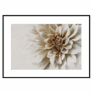 Poster dettaglio petali Stampa da parete moderna Poster di alta qualita moderno - Picture 1 of 27