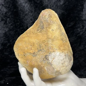 5-1/2” Whole Geode in Sandstone Matrix Unopened Quartz Crystal Rattler Vug 1.4Lb - Picture 1 of 10