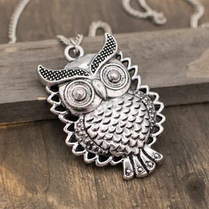Cute Owl Necklace Silver Color Pendant - Silver Chain, Barn, Barred, Snow Owl - Picture 1 of 9