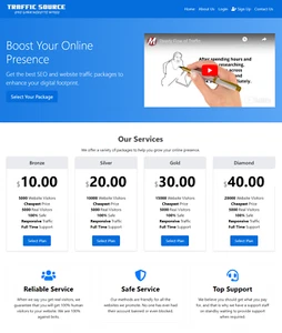 Traffic Reseller Website Business For Sale - Profitable and Easy-to-Manage - Picture 1 of 3