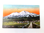 Postcard Divided Back 1944 Vintage Mt. Shasta California Landscape