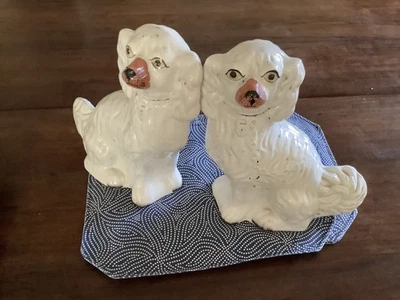 Stratforshire狗狗 — 第 1/3 张图片