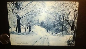 Cartolina antica "Vicino al villaggio LIBERTÀ - NEW YORK". Pubblicato Appr.1905-14 - Foto 1 di 3