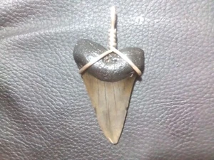 Beautiful 2.0 Mako Sharks Tooth Pendant With Sterling Silver Hand Wrap - Picture 1 of 2
