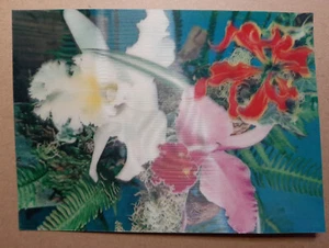 Vintage 3D Lenticular Postcard ORCHID BOUQUET, Imco stereo card - Picture 1 of 2