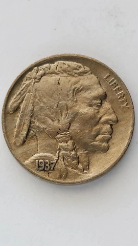 1937-S United States Buffalo Nickel Cover