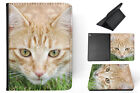 Case Cover For Apple Ipad|adorable Cat Kitten Feline #25