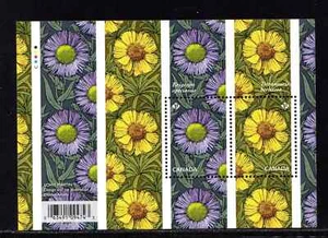 Canada - Scott 2976 - Souvenir Sheet - Daisies - 2017 - Picture 1 of 1