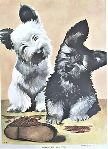 West Highland White, Scottish Terrier Puppy Print 1941 Ready to Frame - Bild 1 von 3