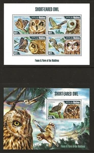 Maldive Isl. Sc 3268+3278 NH issue of 2014 - Birds - Owl - Picture 1 of 1