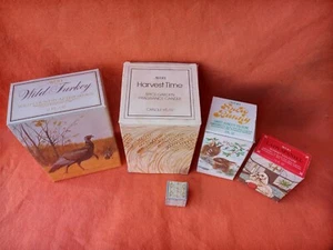 AVON Vintage 1970 Lote Mixto Artículos Coleccionables Figuras Botella Caja Original 5 piezas - Imagen 1 de 3