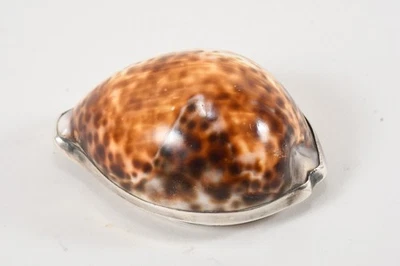 N95O64- Kleine Muschel Schale Ascher mit Silber (geprüft) Montierung um 1810 - Bild 1 von 4