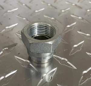 9644-C-16 1" -16 Female BSPP Steel Cap Hex Head - Picture 1 of 4