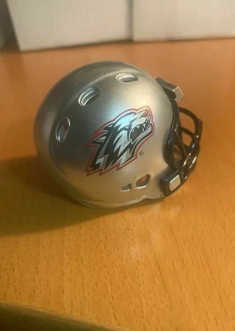 Riddell pocket pro football helmet New Mexico Lobos REVOLUTION style Cover