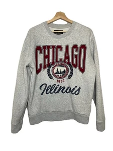 Hollister Relaxed Fit Women's Small Chicago Illinois Gray Sweatshirt  - Picture 1 of 5