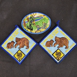 Cub And One Patch Alamo Area Council I Survived Day Camp McGimsey Bear Creek - Imagen 1 de 8