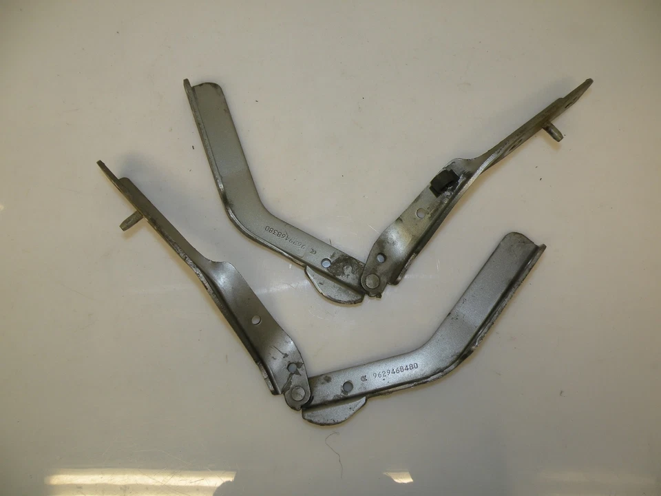 PEUGEOT 607 2002 CAPÓ DELANTERO IZQUIERDO DERECHO BISAGRAS BISAGRA GRIS OEM 9629468480 Foto 1 de 4