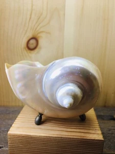 Cáscara de madreperla, soporte para baratija de tocador, con patas de cobre - Imagen 1 de 10