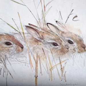 Bunny Rabbits By MADS STAGE (Denmark) Illustration Framed Matted Litho 1976 - Picture 1 of 12