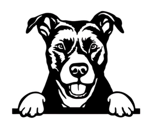 American Stafford - Black Vinyl Graphic Decal Car Truck Windows Laptop Notebook - Picture 1 of 2