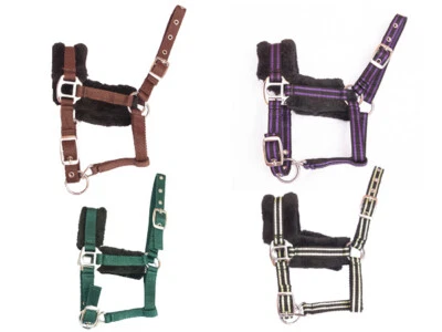 Fohlenhalfter mit Plüsch - Bild 1 von 4