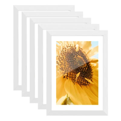 Picture Frame Solid Wood Poster Display Wall Gallery Photo Frames Wall Mounted - Image 1 of 4