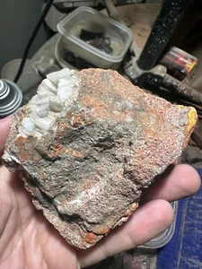 Dinosaur gem bone rough core chunk. WATCH VIDEO. - Picture 1 of 6