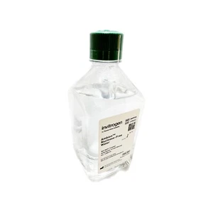 Agua sin nucleasa THERMO SCIENTIFIC® INVITROGEN® Ambion™ 1L - LABORATORIO DE LABORATORIO - Imagen 1 de 1