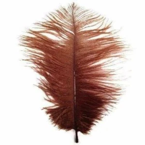 Ostrich Feather Drab 6-15cm x 5 - Rust Brown ((SECONDS)) - Picture 1 of 1