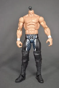 CUERPO TRIPLE H - FORRAJE PERSONALIZADO - SERIE WWE ELITE 23 - SUELTO - DEGENERACIÓN X - Imagen 1 de 1