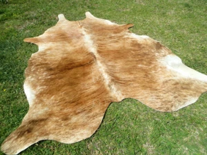 NEW LARGE BRINDLE CARAMEL Cowhide Rug natural Cowhides Cow Hide Skin 6X6 FEET RC - Picture 1 of 6